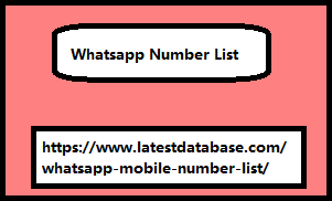 Whatsapp Number List