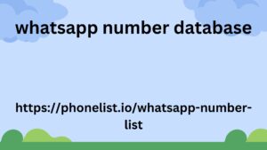 whatsapp number database