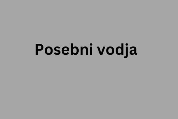 Posebni vodja