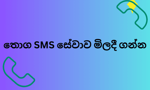 තොග SMS සේවාව මිලදී ගන්න